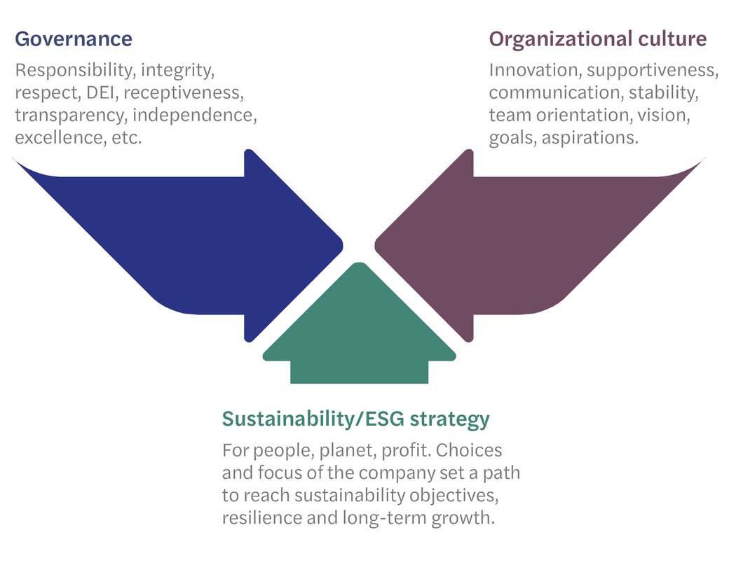 ESG-Graphic-ESG-Strategy_oe_full